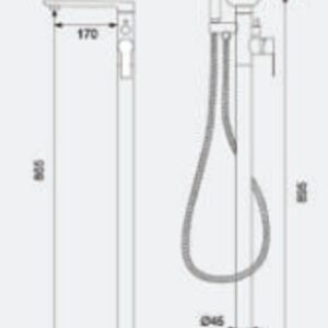 Nobre Ouro dimensões