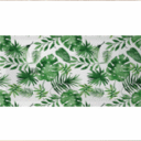 folhas 01